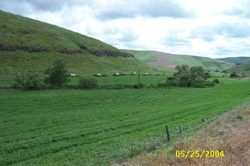 Lewis & Clark Trail Ride coming into Pomeroy Washington