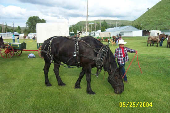 Lewis & Clark Trail Ride coming into Pomeroy Washington
