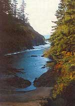 The End of Our Voyage: Lewis & Clark in Washington